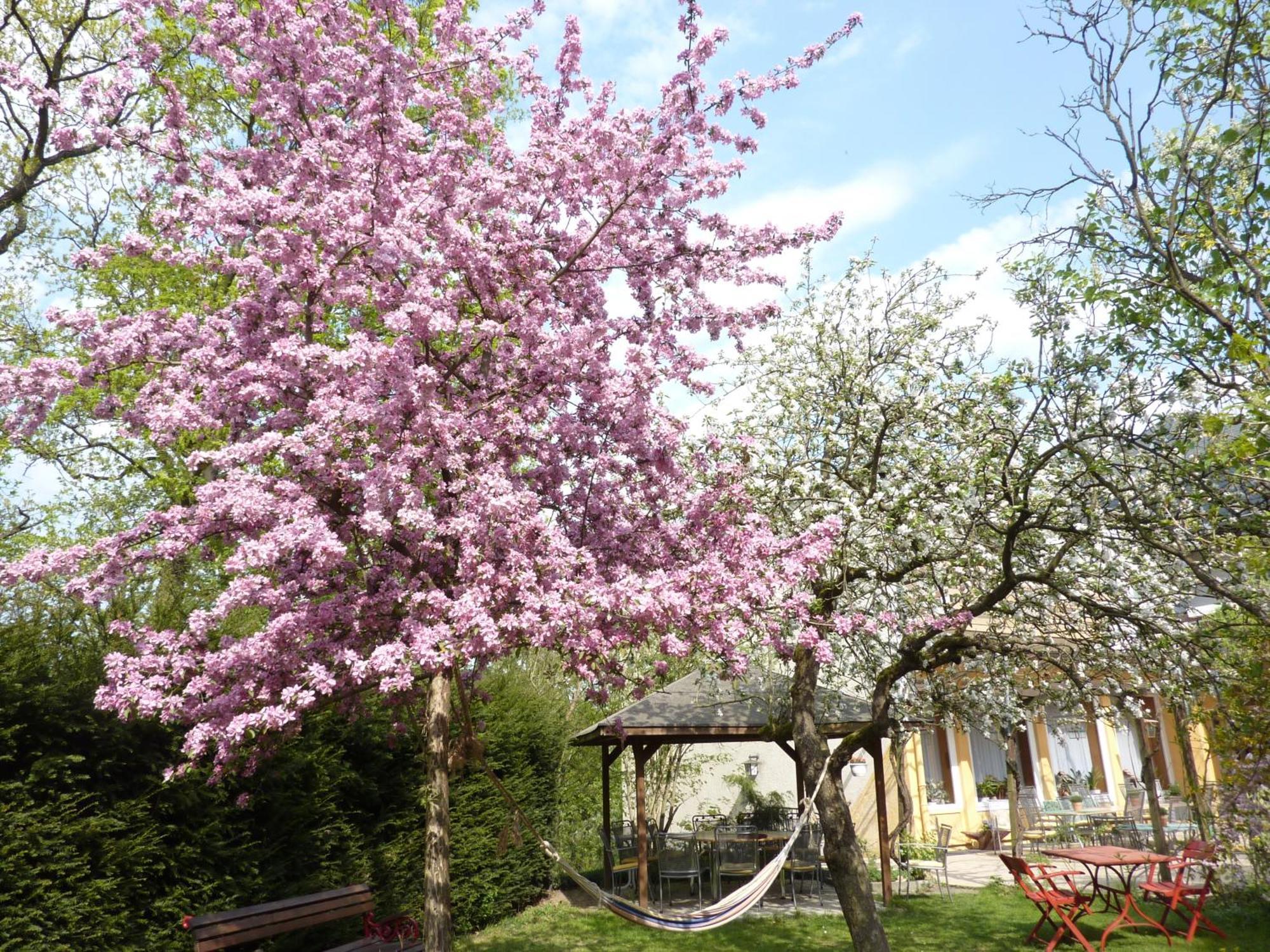 Hotel Oranien Nastätten Εξωτερικό φωτογραφία